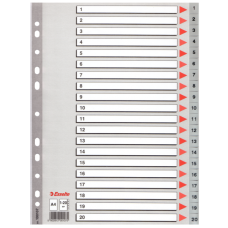 Esselte Seperatör 1-20 Rakamlı Plastik A4 100107